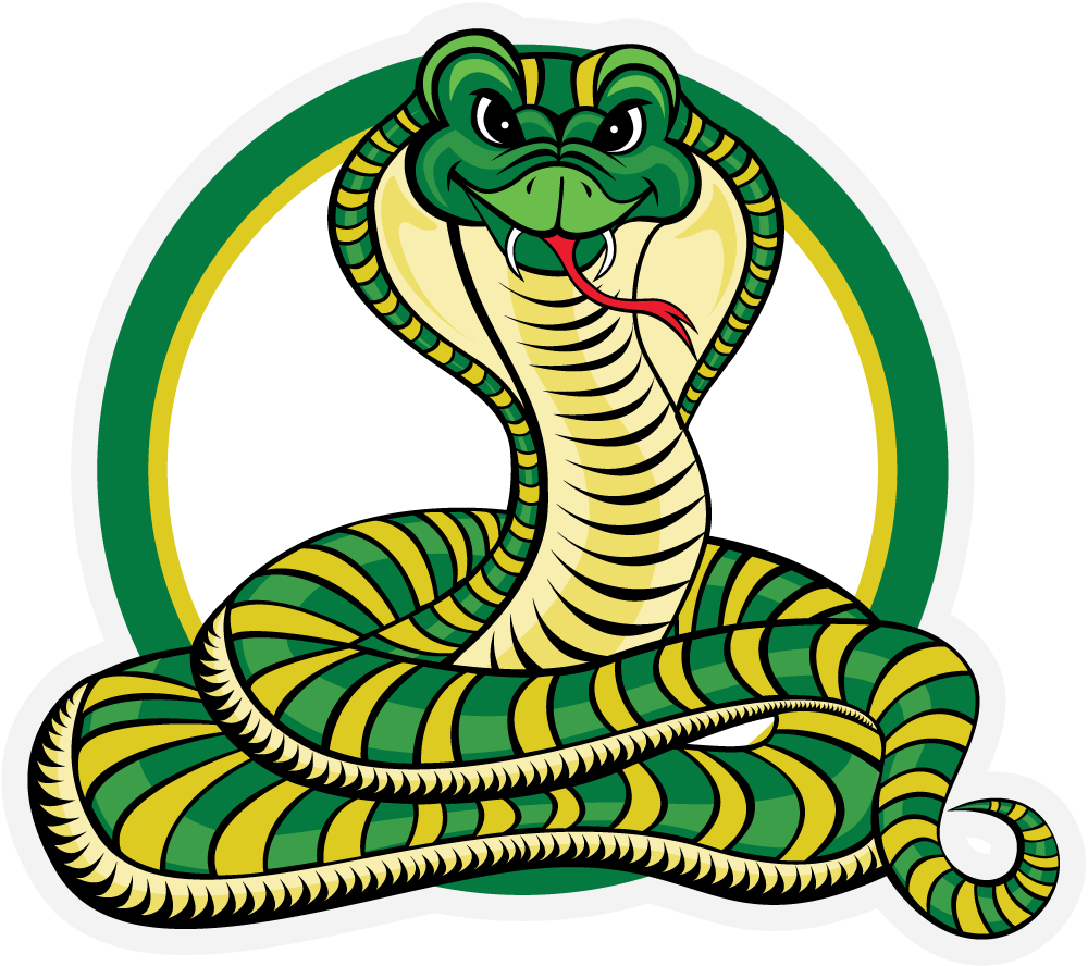 Various School Projects